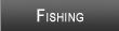 Gulf Shores / Orange Beach Fishing